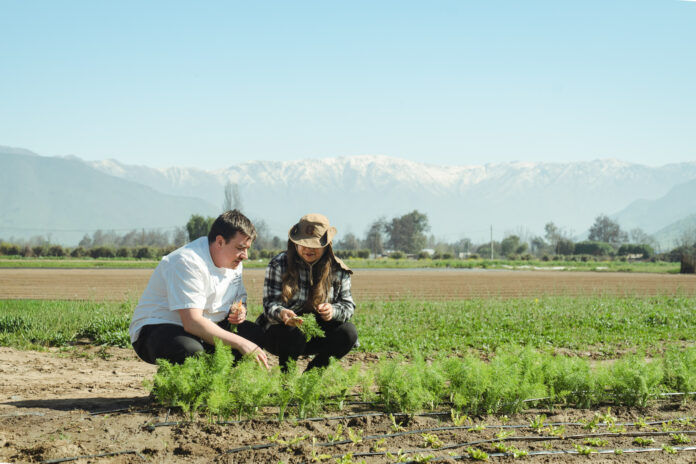 The Ritz-Carlton Stgo